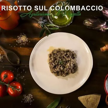 Farm stay Il Poggetto *
